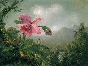 Martin Johnson Heade Orchid and Hummingbird near a Mountain Waterfall Germany oil painting artist